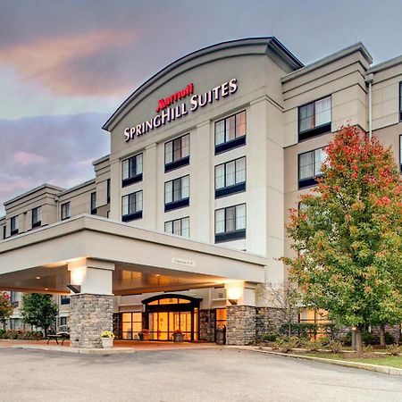 Springhill Suites By Marriott Wheeling Triadelphia Area Eksteriør billede